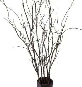5sv-bsk1000 Woodeze 5pcs Artificial Curly Willow Branches Decorative Dry Twigs 30.7 Inches Fake Be 5sv-bsk1000 Woodeze 5pcs Artificial Curly Willow Branches Decorative Dry Twigs 30.7 Inches Fake Be